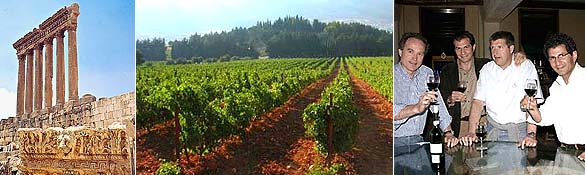 Wine Tour